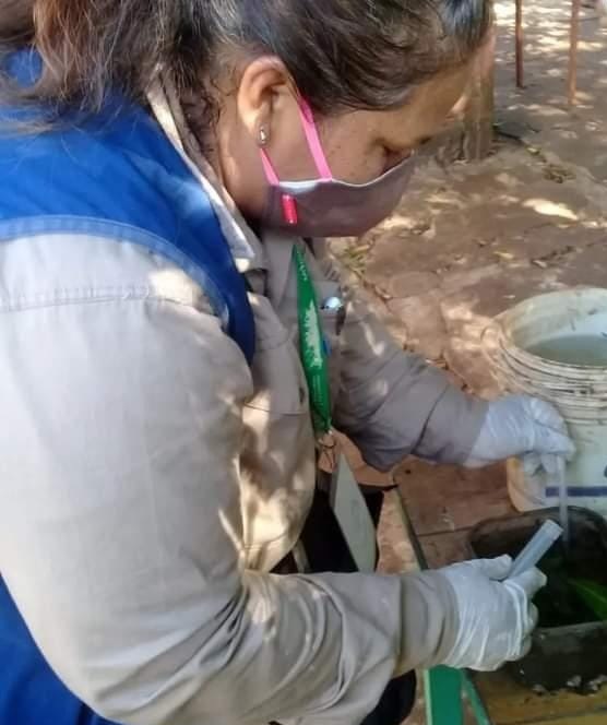 Siguen los operativos para detectar reservorios de Aedes aegypti